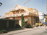 1993 Bauman