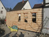 Traube 2005_6