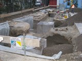 Gross 2009_1