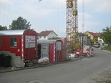 Eichenlaub_001
