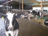 Fahr_001