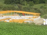Maier Eier_012